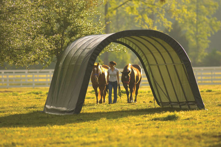 ShelterLogic Weidezelt